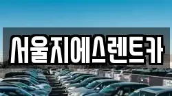 서울지에스렌트카