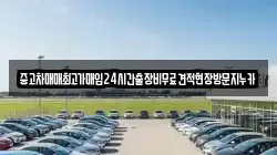 중고차매매최고가매입24시간출장비무료견적현장방문지누카
