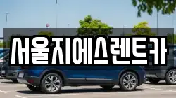 서울지에스렌트카