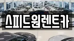 스피드원렌트카