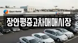 장안평중고차매매시장