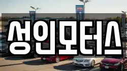 성인모터스