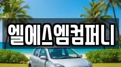 엘에스엠컴퍼니