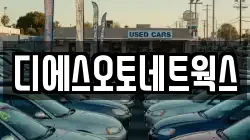 디에스오토네트웍스