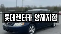 서울 서초구 양재동 렌트카,단기렌트카,장기렌트카,중고차,중고차매매,중고차매입