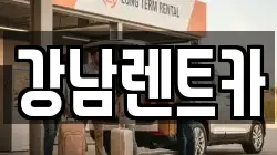 서울 서초구 우면동 렌트카,단기렌트카,장기렌트카,중고차,중고차매매,중고차매입