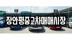 장안평중고차매매시장