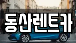 서울 서초구 원지동 렌트카,단기렌트카,장기렌트카,중고차,중고차매매,중고차매입