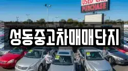성동중고차매매단지