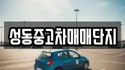 성동중고차매매단지