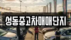 성동중고차매매단지