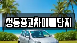 성동중고차매매단지