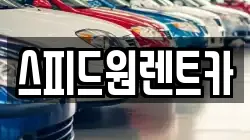 스피드원렌트카