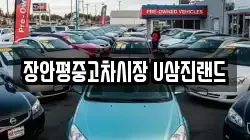 장안평중고차시장 U삼진랜드