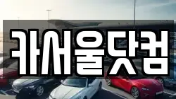 카서울닷컴