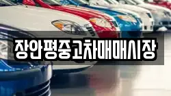 장안평중고차매매시장