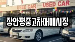 장안평중고차매매시장