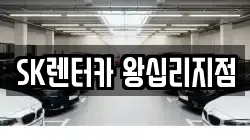 서울 성동구 행당동 렌트카,단기렌트카,장기렌트카,중고차,중고차매매,중고차매입