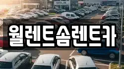 월렌트솜렌트카