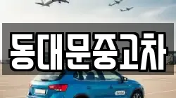 동대문중고차
