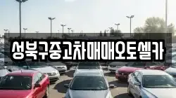 성북구중고차매매오토셀카
