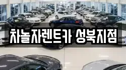 차놀자렌트카 성북지점