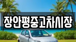 장안평중고차시장