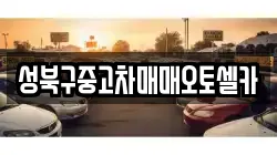 성북구중고차매매오토셀카