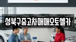 성북구중고차매매오토셀카