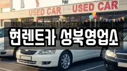 서울 성북구 보문동3가 렌트카,단기렌트카,장기렌트카,중고차,중고차매매,중고차매입