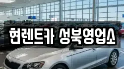 서울 성북구 보문동5가 렌트카,단기렌트카,장기렌트카,중고차,중고차매매,중고차매입