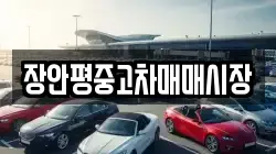 장안평중고차매매시장