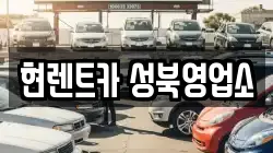 서울 성북구 삼선동2가 렌트카,단기렌트카,장기렌트카,중고차,중고차매매,중고차매입