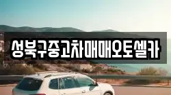 성북구중고차매매오토셀카