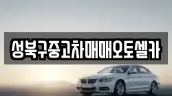성북구중고차매매오토셀카