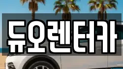 듀오렌터카