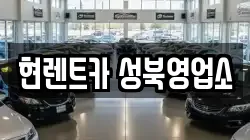 서울 성북구 성북동 렌트카,단기렌트카,장기렌트카,중고차,중고차매매,중고차매입