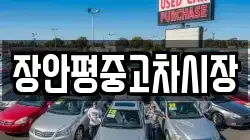 장안평중고차시장
