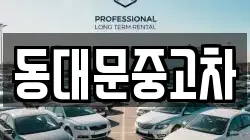 동대문중고차