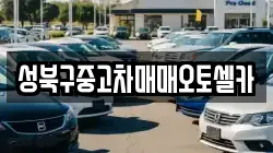 성북구중고차매매오토셀카