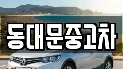 동대문중고차