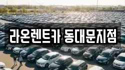 라온렌트카 동대문지점