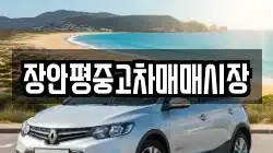 장안평중고차매매시장