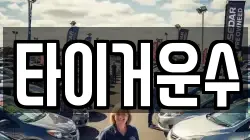 타이거운수