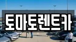 서울 송파구 가락동 렌트카,단기렌트카,장기렌트카,중고차,중고차매매,중고차매입