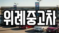 위례중고차