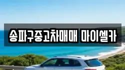송파구중고차매매 마이셀카