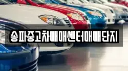송파중고차매매센터매매단지