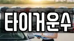 타이거운수