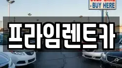 서울 송파구 송파동 렌트카,단기렌트카,장기렌트카,중고차,중고차매매,중고차매입